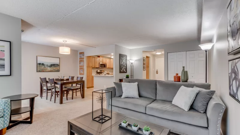 Bright open-plan living room with gray sofa, dining table, and kitchen beyond. Neutral decor, light carpet.