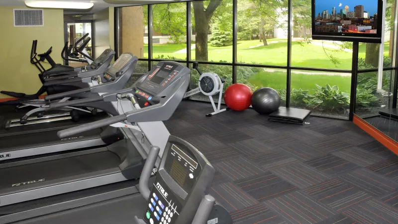Fitness room with treadmills, a rowing machine, exercise balls, and a TV, overlooking a green outdoor area through large windows.